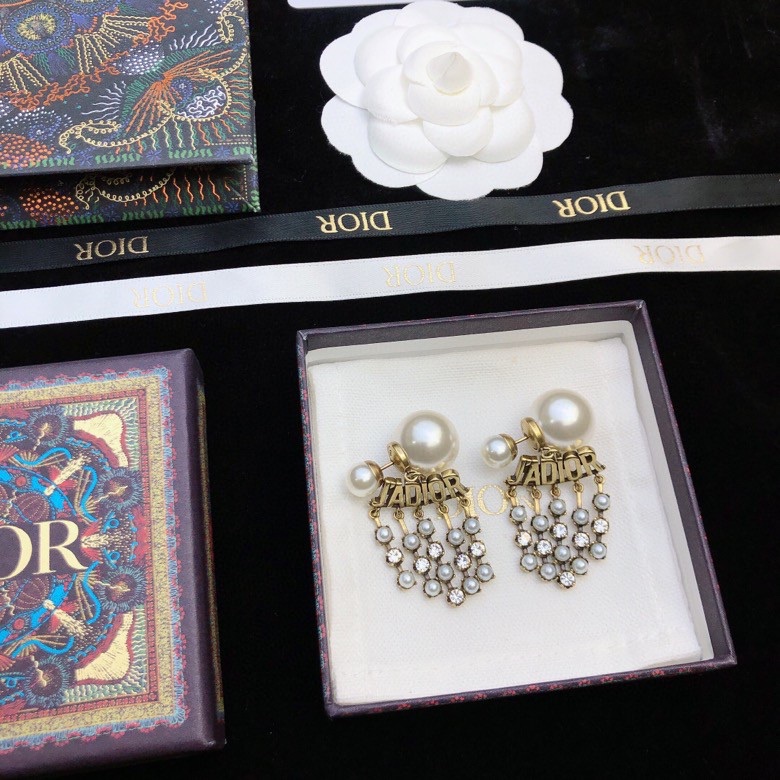 Christian Dior Earrings